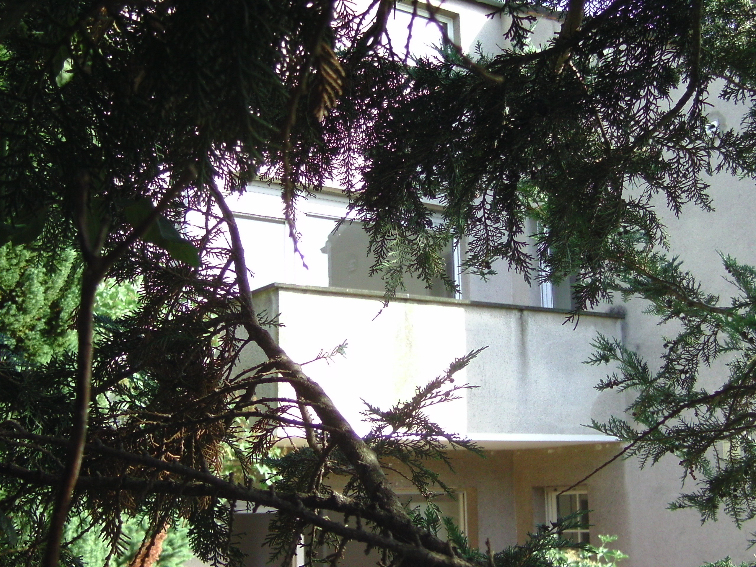 Balkon von der Gartenseite aus