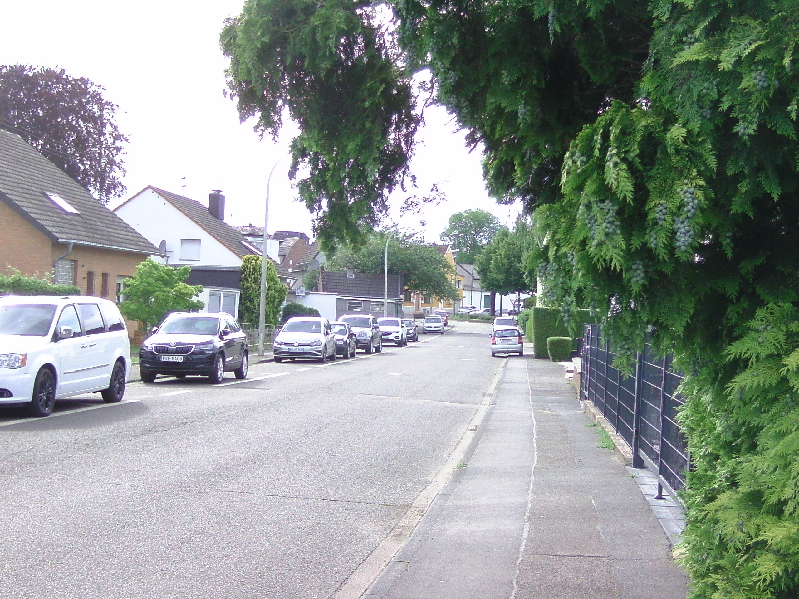 Straße-Umgebung